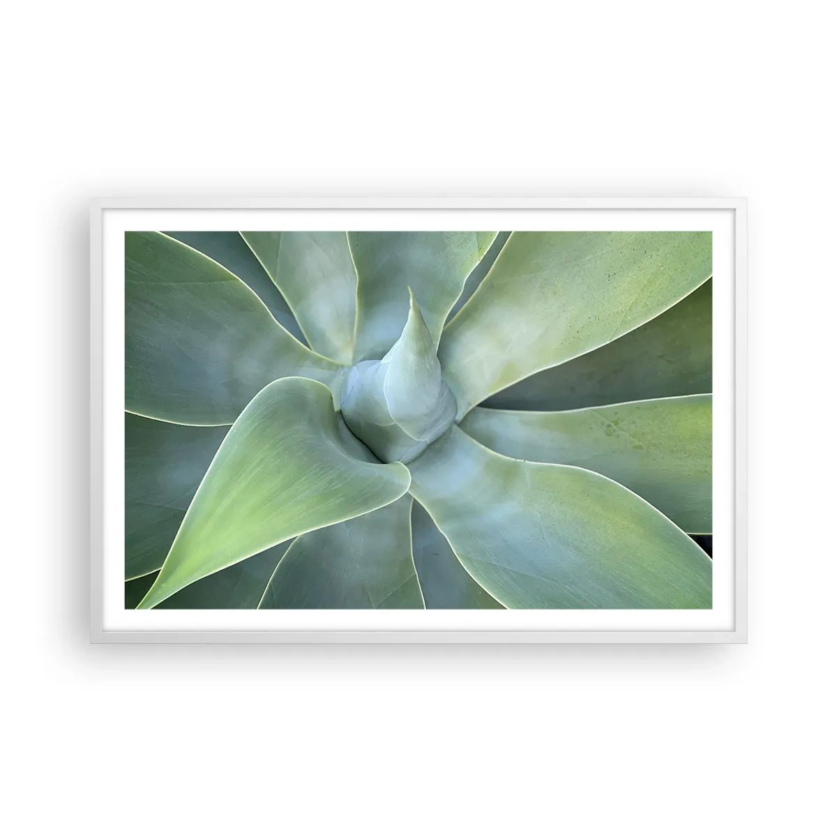 Plakat w białej ramie - Narodziny zieleni - 91x61 cm