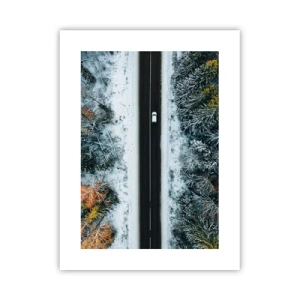 Plakat - Przeciąć zimowy las - 30x40 cm
