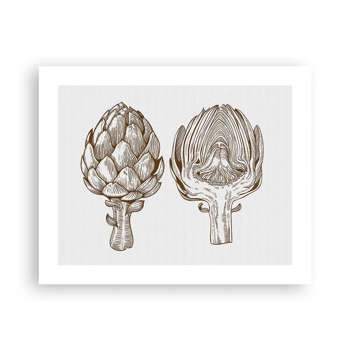 Plakat - Lekcja anatomii - 50x40 cm