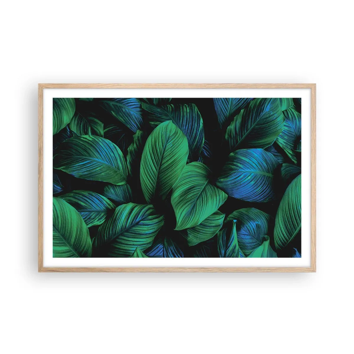 Plakat w ramie jasny dąb - W zielonym tłumie - 91x61 cm