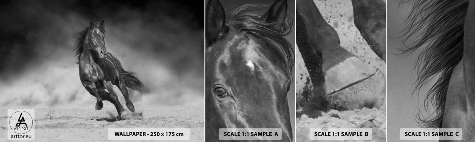 Fototapeta Próbka Standard Eco - Godny samego emira - Koń, Zwierzęta, Natura - 100x30 cm