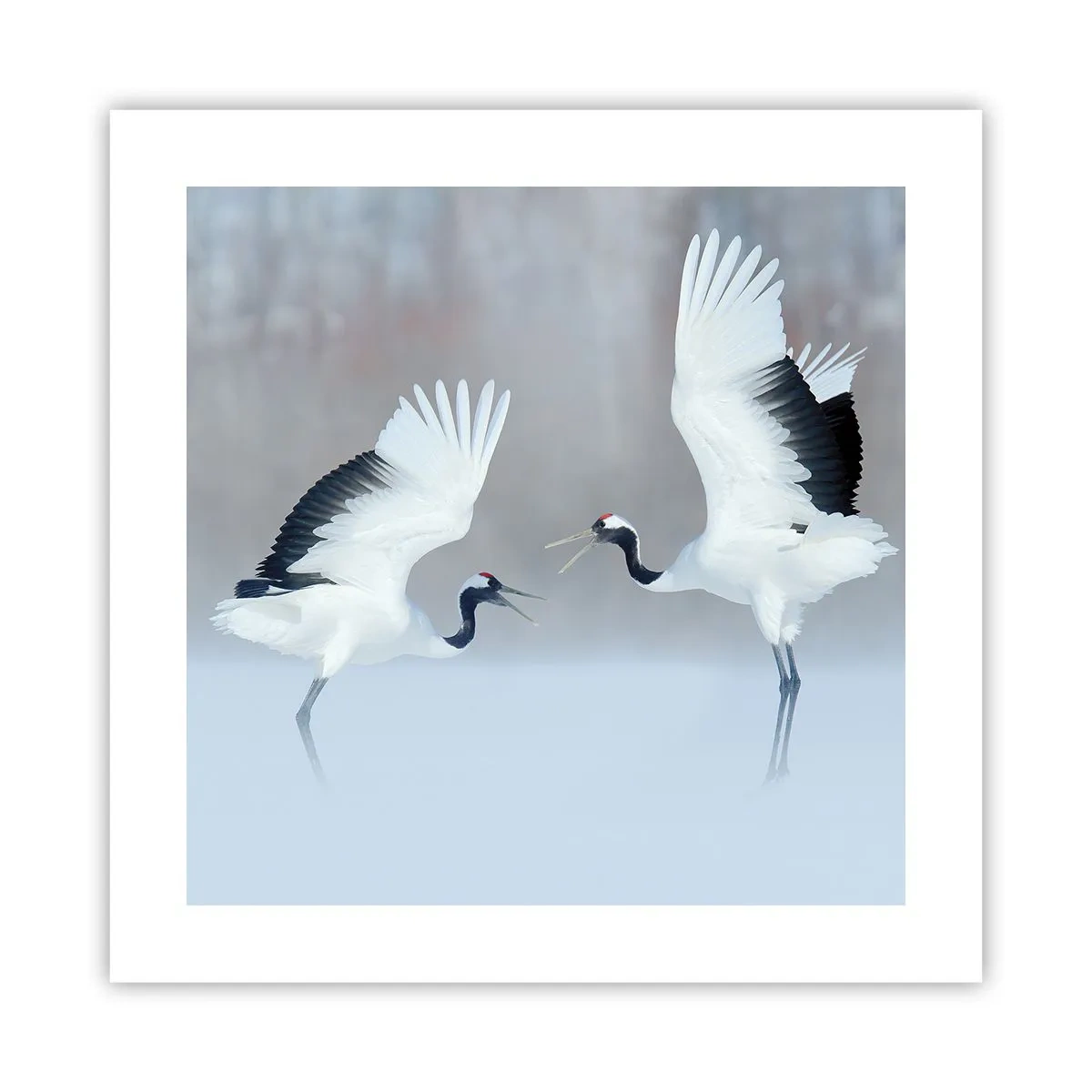 Plakat - Taniec we mgle - 40x40 cm