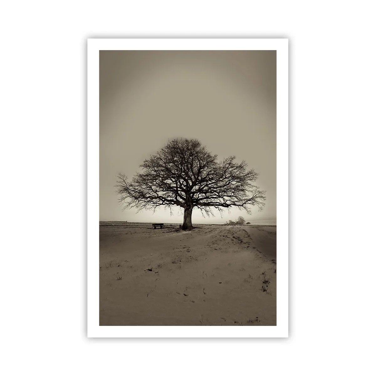 Plakat - Stąd do wieczności - 61x91 cm