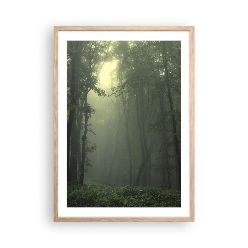 Plakat w ramie jasny dąb - Zanim się obudzi - 50x70 cm