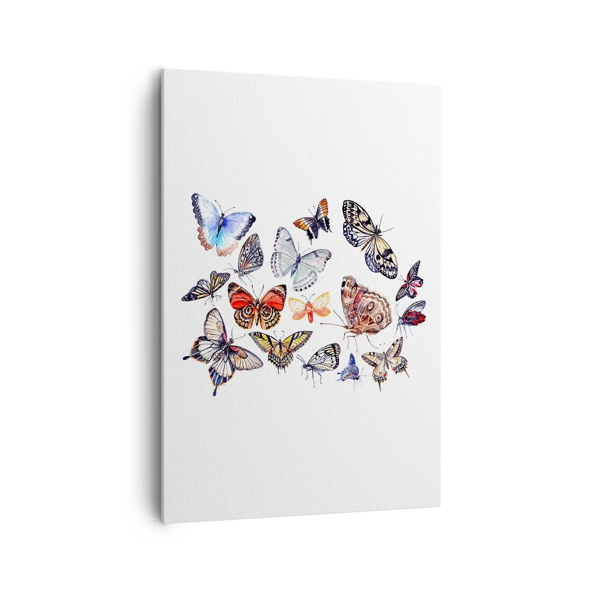 Obraz na płótnie - Kolorowe motyle na białym tle - 70x100cm - Koronkowy, barwny rój - Nowoczesna dekoracja ścienna do salonu i sypialni ARTTOR