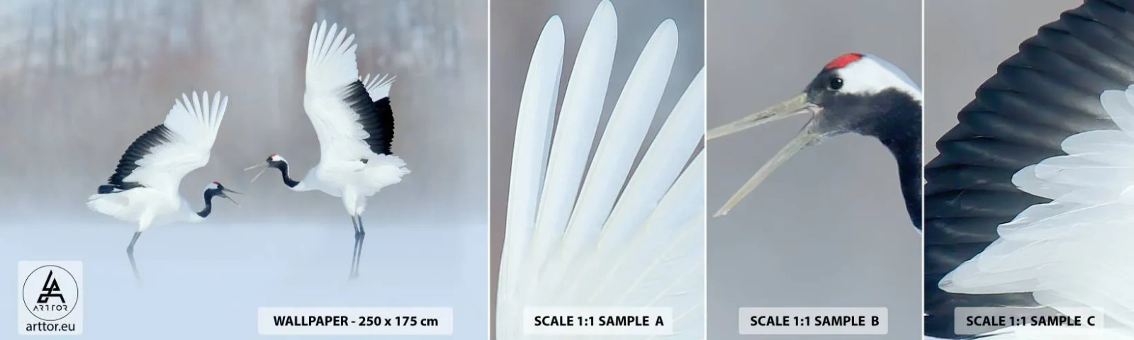 Fototapeta Próbka Samoprzylepna Deluxe Sticker - Taniec we mgle - Zima, Ptak, Natura - 100x30 cm