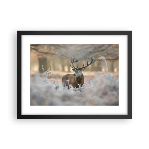 Plakat w czarnej ramie - Rześki poranek - 40x30 cm