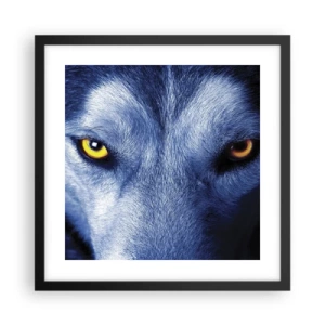 Plakat w czarnej ramie - Hipnotyzujące spojrzenie - 40x40 cm