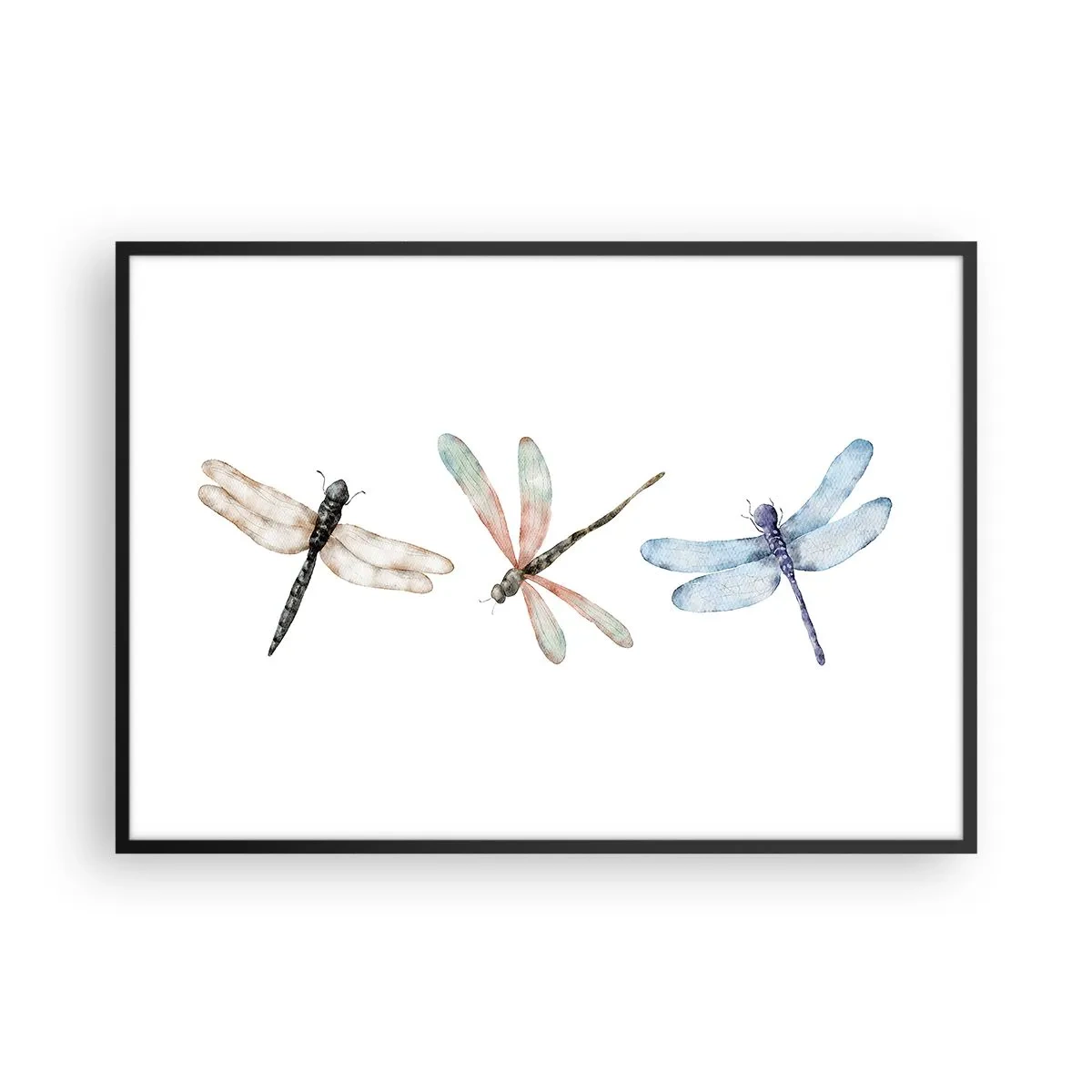 Plakat w czarnej ramie - Trzy ważki w delikatnych pastelowych barwach - 100x70cm - Ważki nieważkie - Nowoczesna dekoracja ścienna do salonu i sypialni ARTTOR
