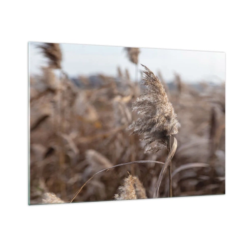 Obraz na szkle - Zbliżenie na suche trawy kołysane wiatrem - 100x70cm - Czas odlecieć z wiatrem - Nowoczesna dekoracja ścienna do salonu, kuchni i sypialni ARTTOR