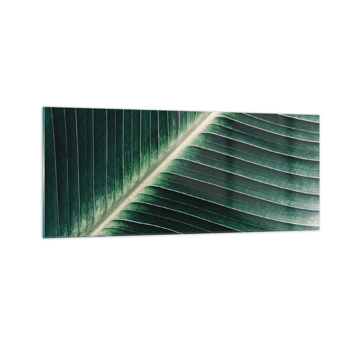 Obraz na szkle - Rytm natury - 100x40 cm