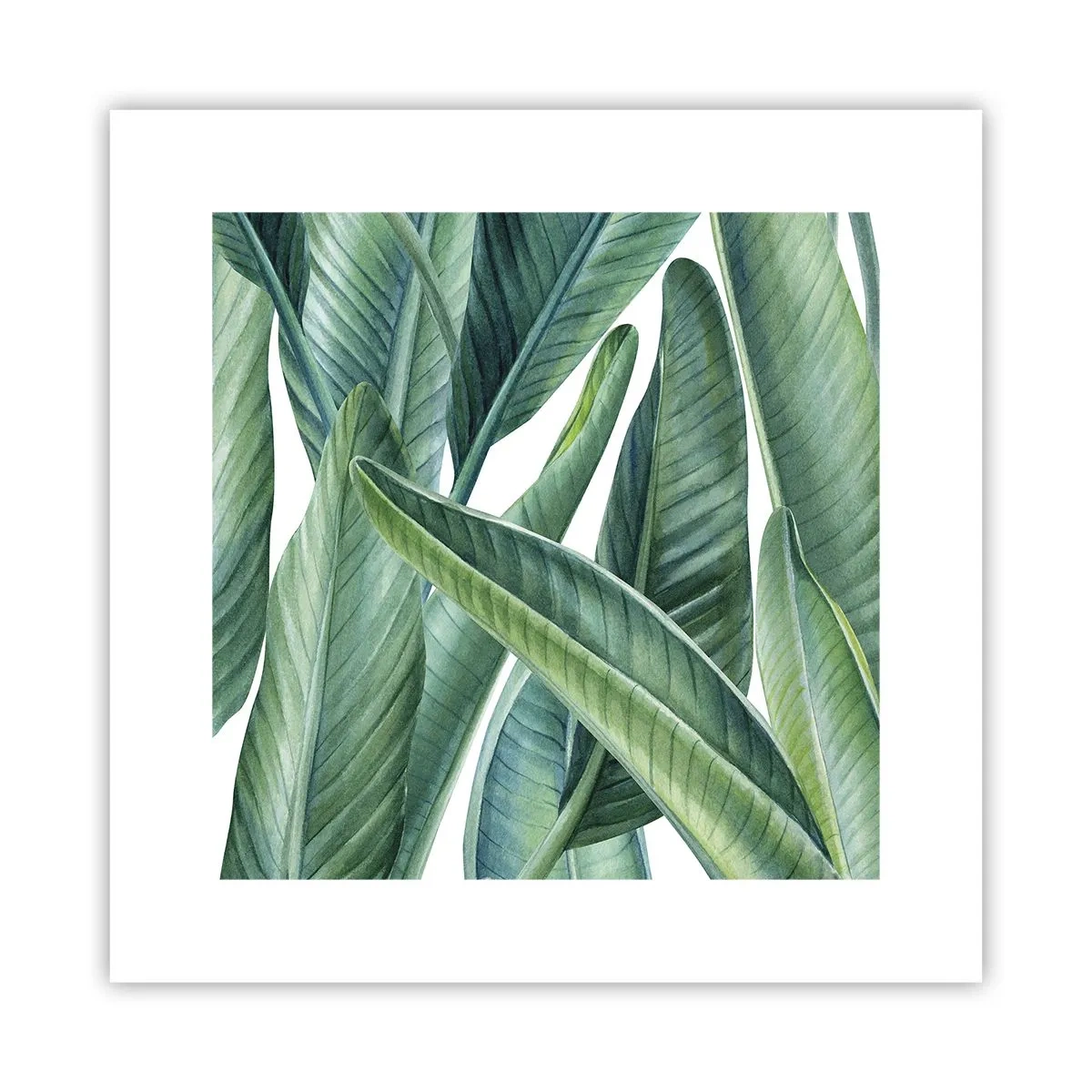 Plakat - Zieleń sama w sobie - 30x30 cm