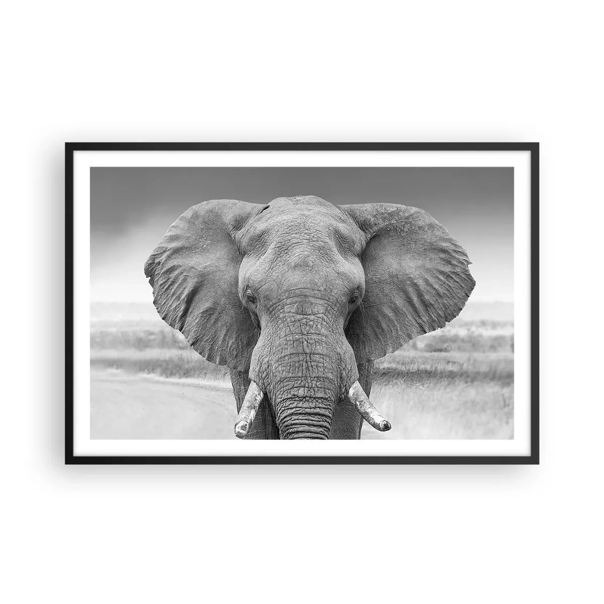 Plakat w czarnej ramie - Witaj w moim świecie - 91x61 cm