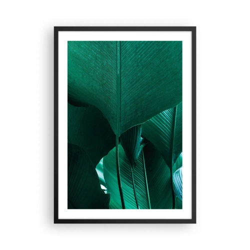 Plakat w czarnej ramie - Zbliżenie na duże zielone liście z widoczną strukturą i teksturą - 50x70cm - Zwrócone do światła - Nowoczesna dekoracja ścienna do salonu i sypialni ARTTOR