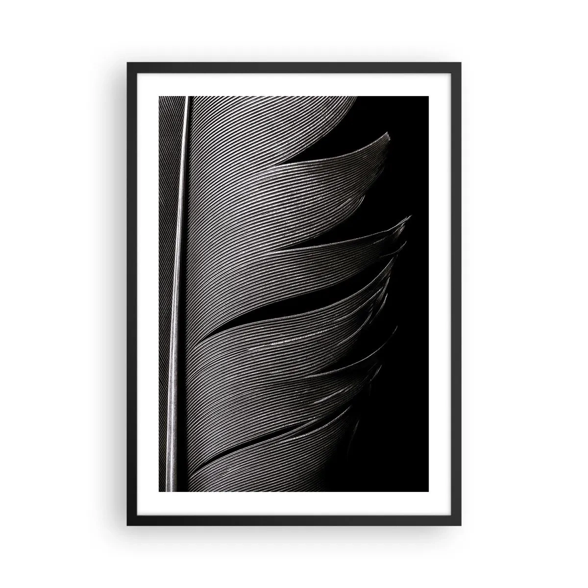 Plakat w czarnej ramie - Minimalistyczne ujęcie pióra w czerni i bieli - 50x70cm - Pióro – cudowna konstrukcja - Nowoczesna dekoracja ścienna do salonu i sypialni ARTTOR