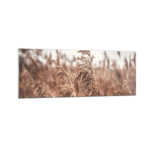 Obraz na szkle - Złote trawy na tle jesiennej scenerii - 140x50cm - Na polach już jesień - Nowoczesna dekoracja ścienna do salonu i sypialni ARTTOR