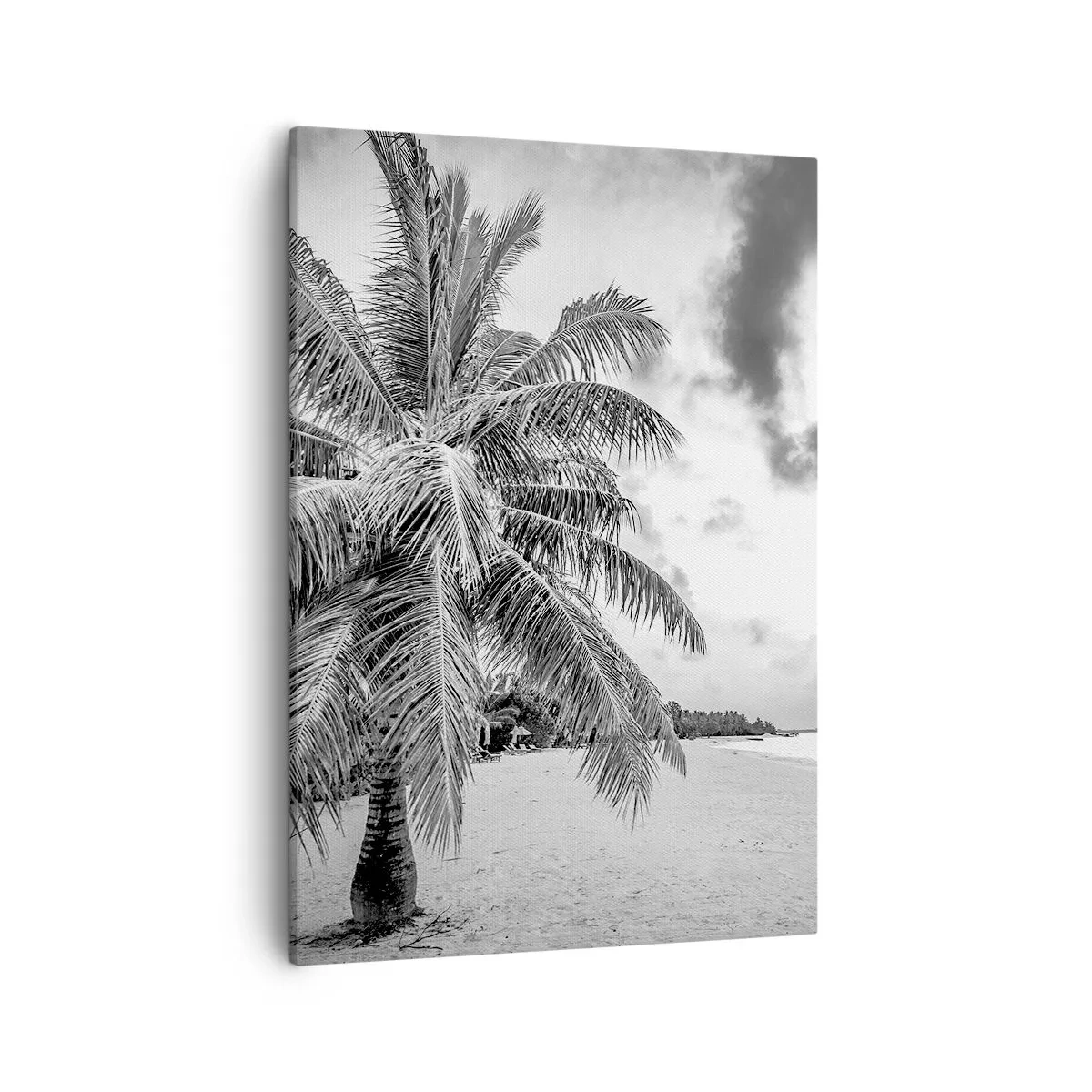 Obraz na płótnie - Czarno-biała palma na piaszczystej plaży - 50x70cm - Gdy tęsknisz do samotności… - Nowoczesna dekoracja ścienna do salonu, kuchni i sypialni ARTTOR