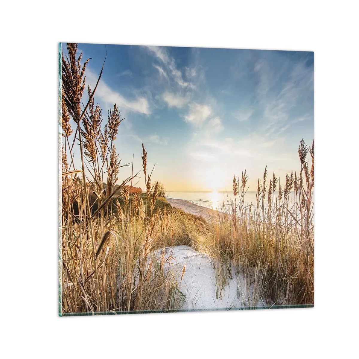 Obraz na szkle - Północna plaża - 50x50 cm
