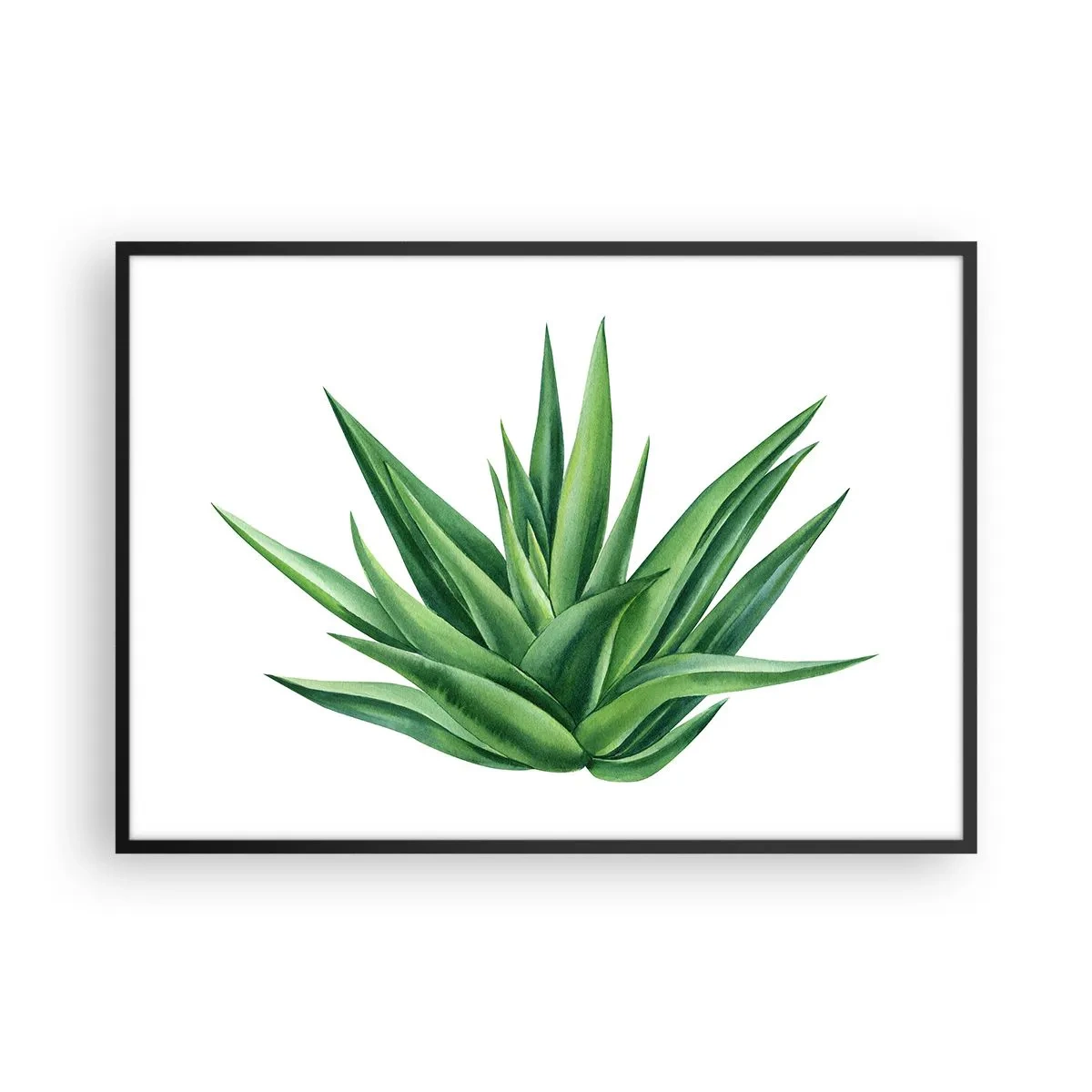 Plakat w czarnej ramie - Soczysta zielona roślina na białym tle - 100x70cm - Zieleń – siła – życie - Nowoczesna dekoracja ścienna do salonu i sypialni ARTTOR
