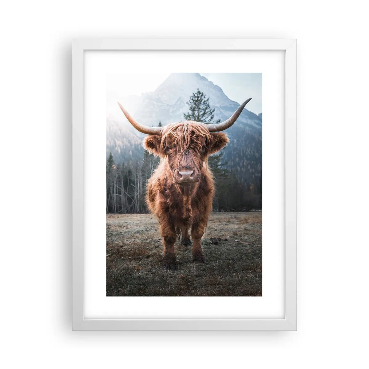 Plakat w białej ramie - Pozdrowienia z górskiej łąki - 30x40 cm