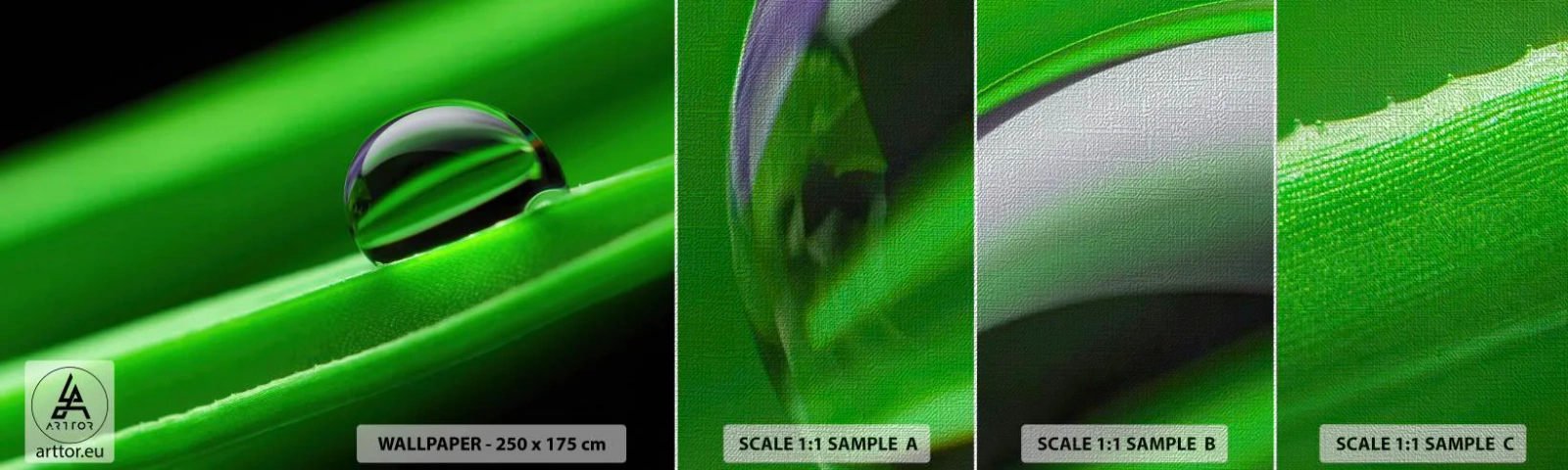 Fototapeta Próbka Premium Canvas - Życie z bliska - Abstrakcja, Grafika, Kropla Wody - 100x30 cm