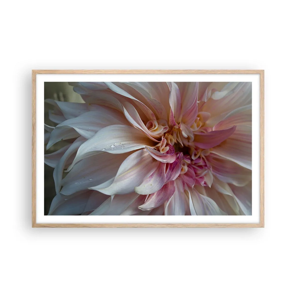 Plakat w ramie jasny dąb - Kwitnąca świeżość - 91x61 cm