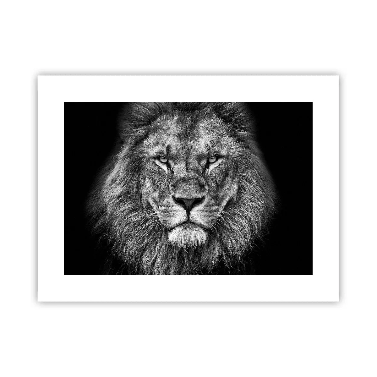 Plakat - W stroju koronacyjnym - 40x30 cm