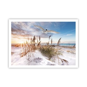 Plakat - Plaża z lotem mewy o zachodzie słońca - 100x70cm - Wiatr od morza - Nowoczesna dekoracja ścienna do salonu i sypialni ARTTOR
