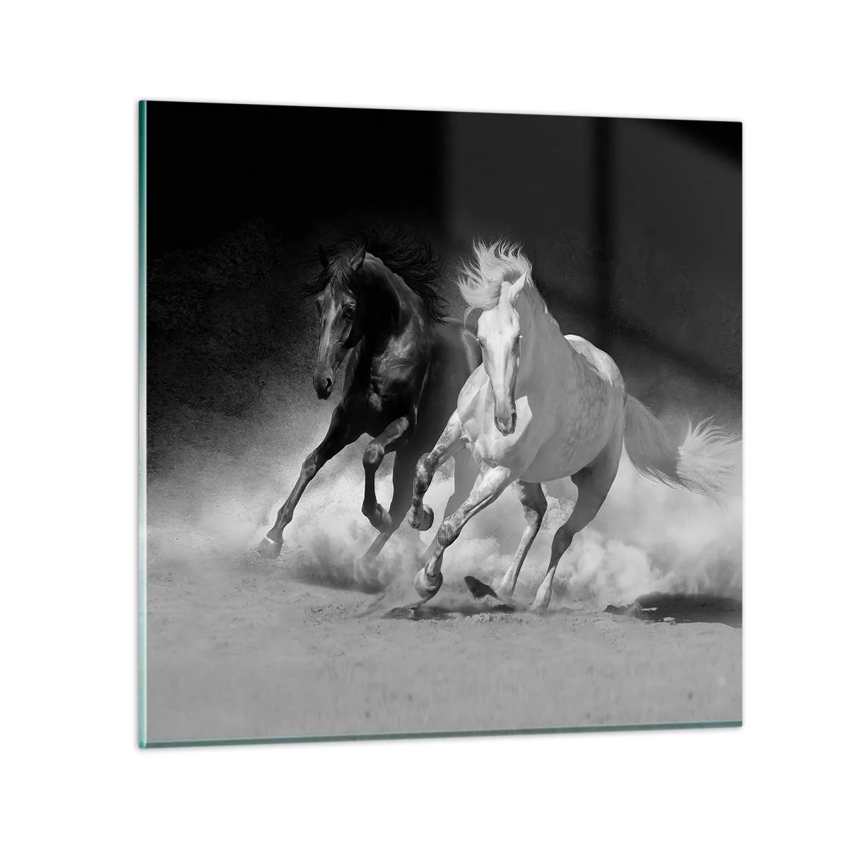 Obraz na szkle - Galop wolności - 40x40 cm