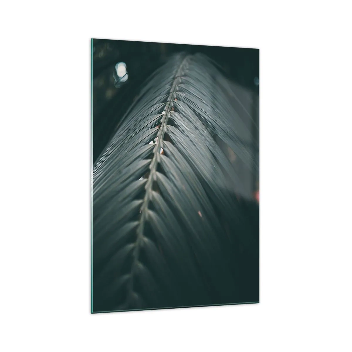 Obraz na szkle - Zbliżenie na detal liścia palmowego w ciemnej tonacji - 70x100cm - Precyzja natury - Nowoczesna dekoracja ścienna do salonu i sypialni ARTTOR