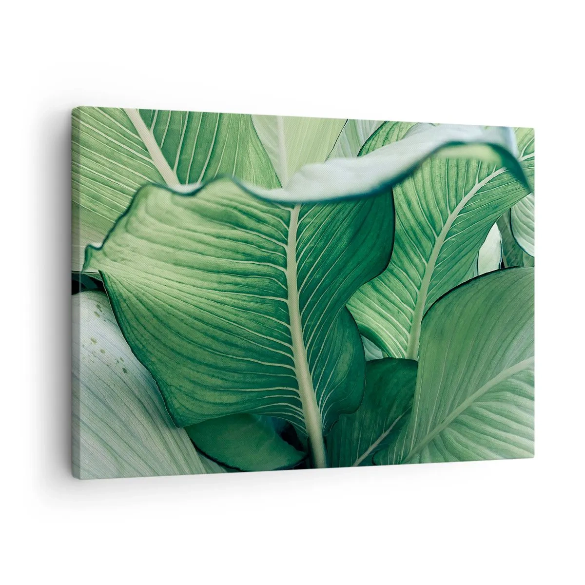 Obraz na płótnie - Zielone liście z wyrazistymi detalami i strukturą - 70x50cm - Życie intensywnie zielone - Nowoczesna dekoracja ścienna do salonu i sypialni ARTTOR
