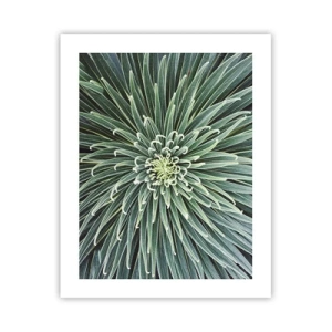 Plakat - Narodziny gwiazdy - 40x50 cm