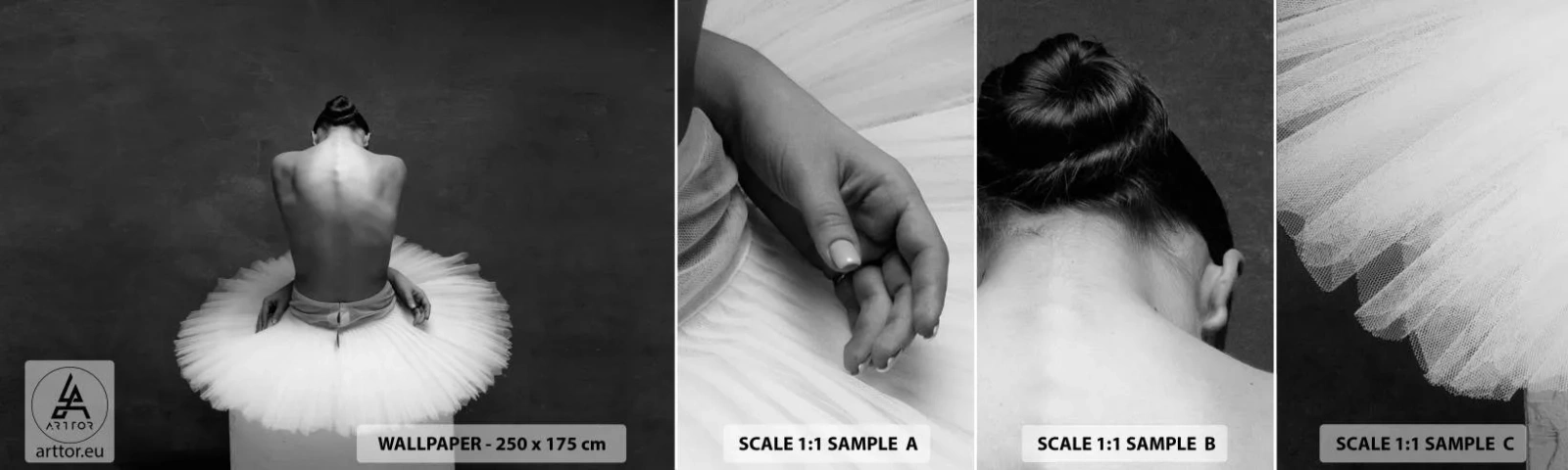 Fototapeta Próbka Samoprzylepna Deluxe Sticker - Właśnie rozkwita - Baletnica, Taniec, Balet - 100x30 cm