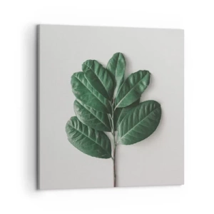 Obraz na płótnie - Rysunek samej natury - 50x50 cm