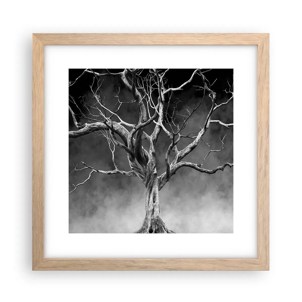 Plakat w ramie jasny dąb - Pierwotne i święte - 30x30 cm