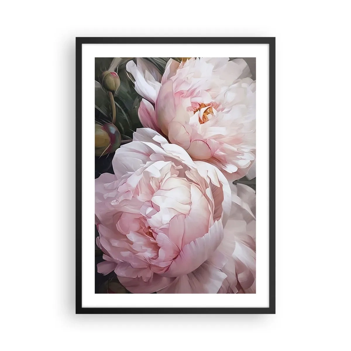 Plakat w czarnej ramie - Delikatne piwonie w pastelowych odcieniach różu i bieli - 50x70cm - Zatrzymane w rozkwicie - Nowoczesna dekoracja ścienna do salonu i sypialni ARTTOR