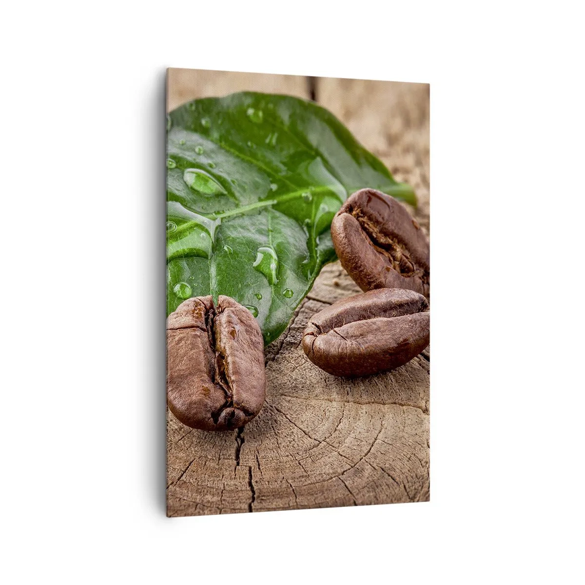 Obraz na płótnie - Ziarna kawy i zielony liść na drewnianym tle - 80x120cm - Najprawdziwsza i czarna - Nowoczesna dekoracja ścienna do salonu i sypialni ARTTOR
