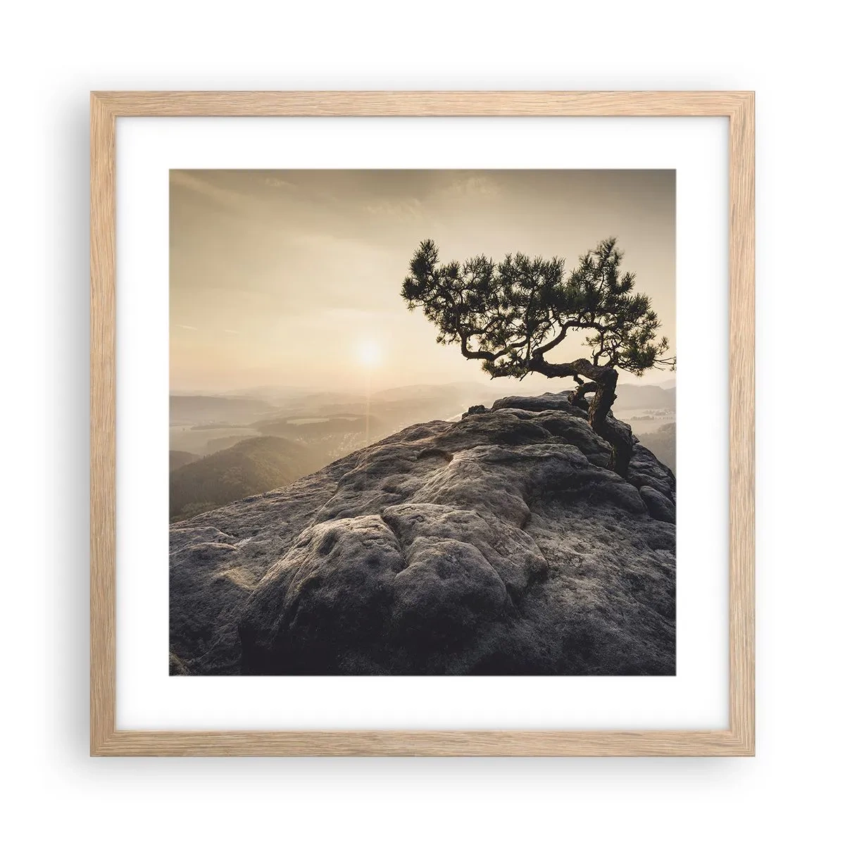 Plakat w ramie jasny dąb - Życie zawsze zwycięża - 40x40 cm