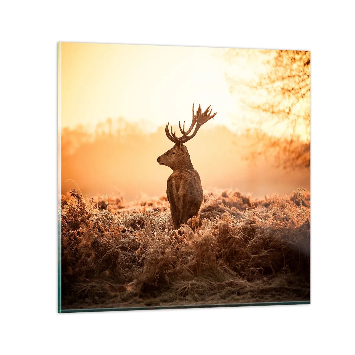 Obraz na szkle - Pan na włościach - 50x50 cm