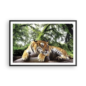 Plakat w czarnej ramie - Z wyrazami szacunku - 91x61 cm