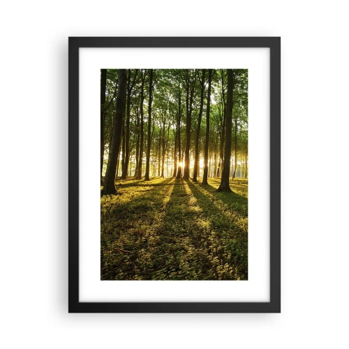 Plakat w czarnej ramie - Fotografia wszystkich wiosen - 30x40 cm