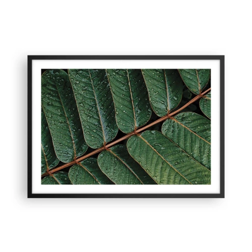 Plakat w czarnej ramie - Zielone liście z kroplami rosy w makro ujęciu - 70x50cm - W zielonym rytmie - Nowoczesna dekoracja ścienna do salonu i sypialni ARTTOR