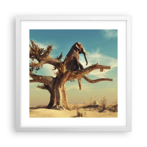 Plakat w białej ramie - Nowy punkt widzenia - 40x40 cm