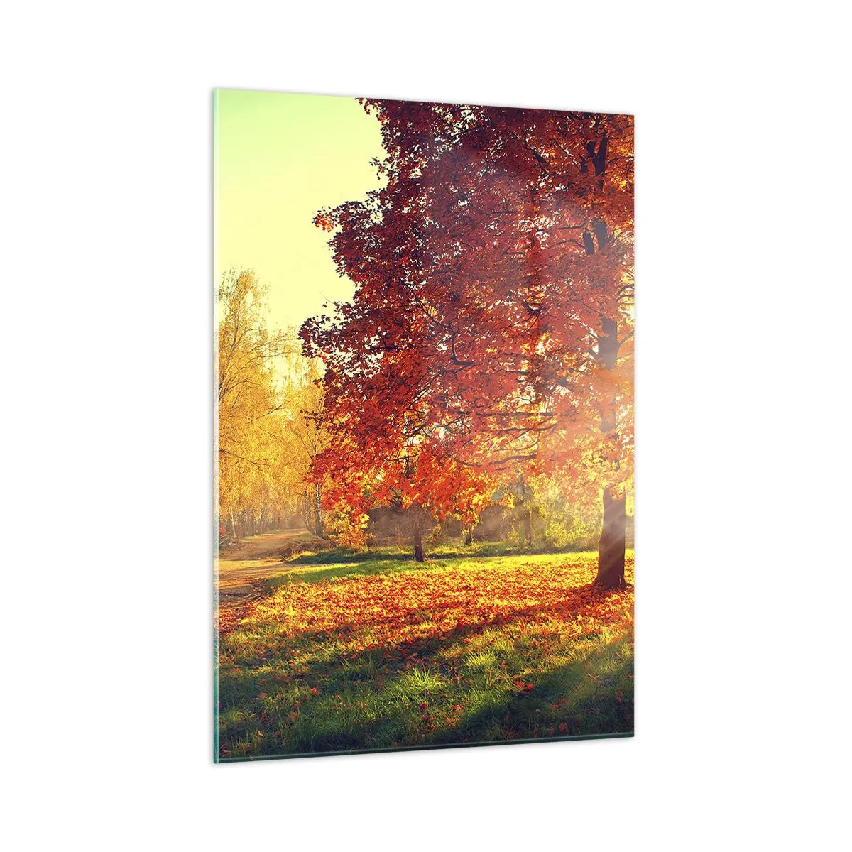 Obraz na szkle - Jesienna aleja z promieniami słońca - 50x70cm - Rude jest piękne - Nowoczesna dekoracja ścienna do salonu, kuchni i sypialni ARTTOR