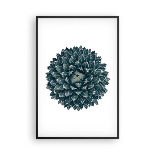 Plakat w czarnej ramie - Gwiazda pustyni - 61x91 cm