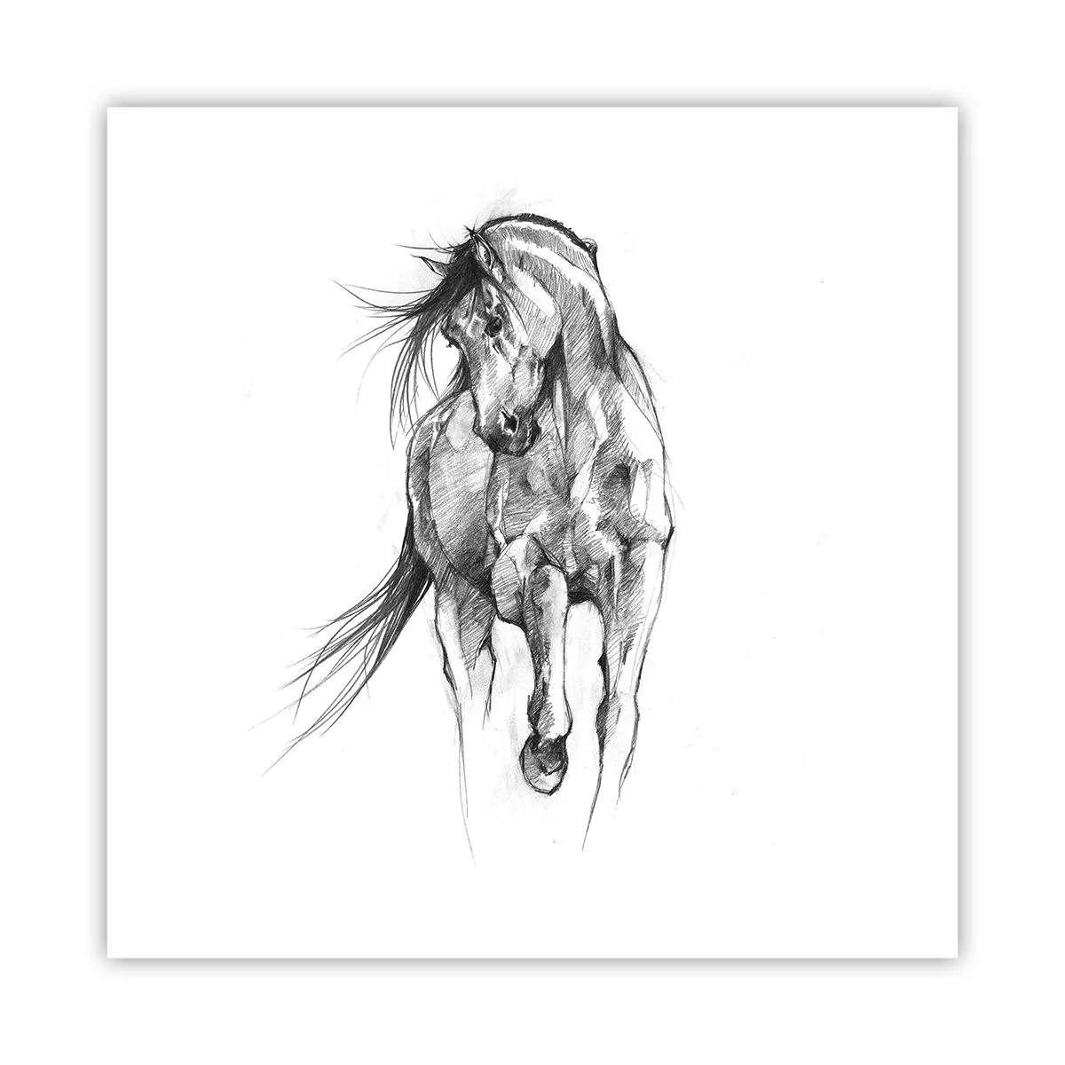Plakat - We wdzięcznym kłusie - 60x60 cm