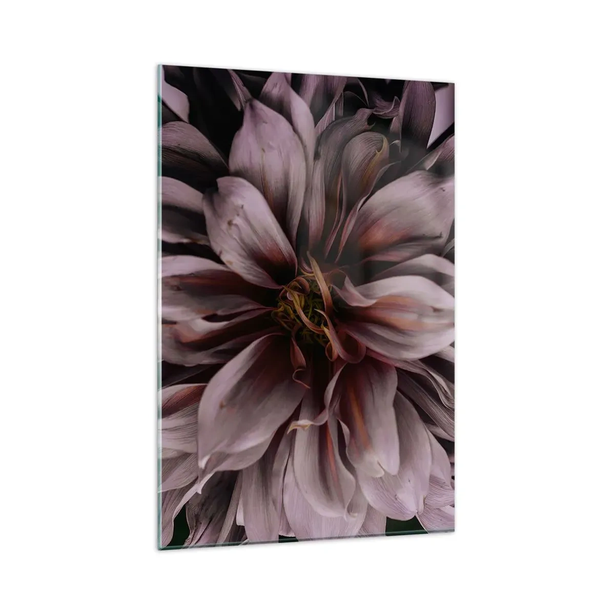 Obraz na szkle - Zbliżenie na detal dużego kwiatu w subtelnych barwach - 80x120cm - Kwietne serce - Nowoczesna dekoracja ścienna do salonu i sypialni ARTTOR