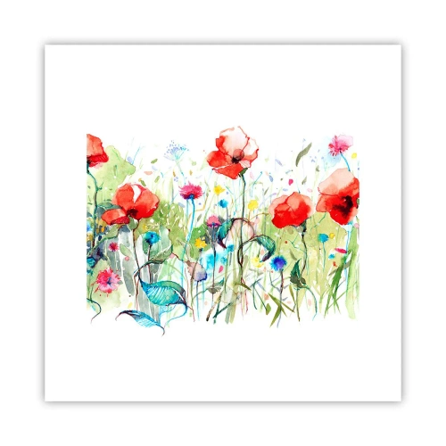 Plakat - Kwitnąca majem łąka - 30x30 cm