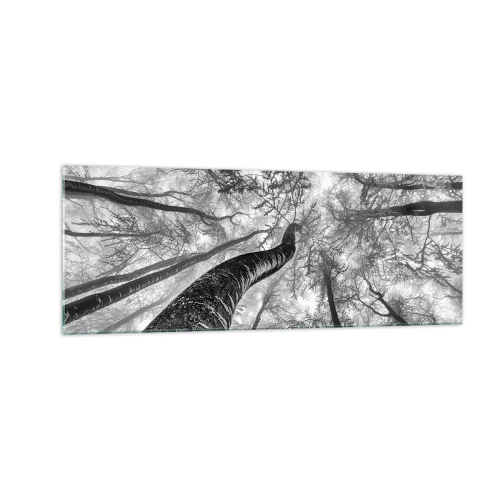 Obraz na szkle - Perspektywa drzew w lesie widzianych od dołu w odcieniach szarości - 140x50cm - Wyścig do światła - Nowoczesna dekoracja ścienna do salonu i sypialni ARTTOR