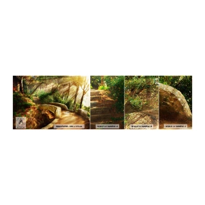 Fototapeta Próbka Samoprzylepna Deluxe Sticker - Prosto z mostku w baśniowy las - Krajobrazy, Kamienne Schody, Promienie Słońca - 100x30 cm